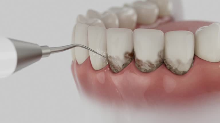 Reliable Dental contractor in Concord, NC by Dentist Open Now